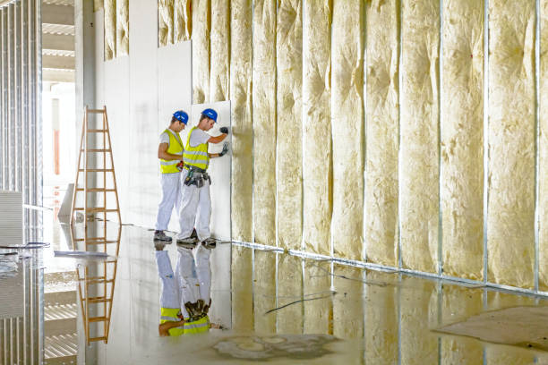 Best Residential Insulation in Saegertown, PA